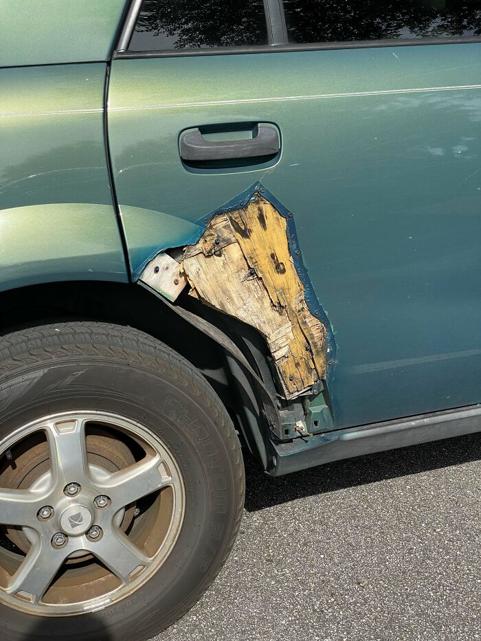 Found In The Wild…