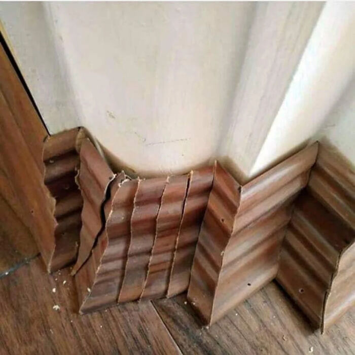 Ia This An Optical Illusion?