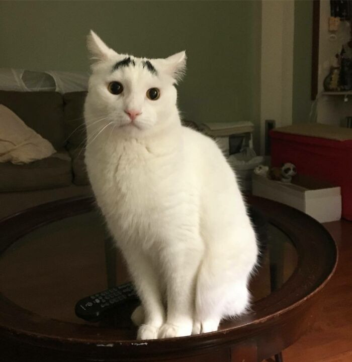 When Your Boss Asks You To Stay Late On A Friday