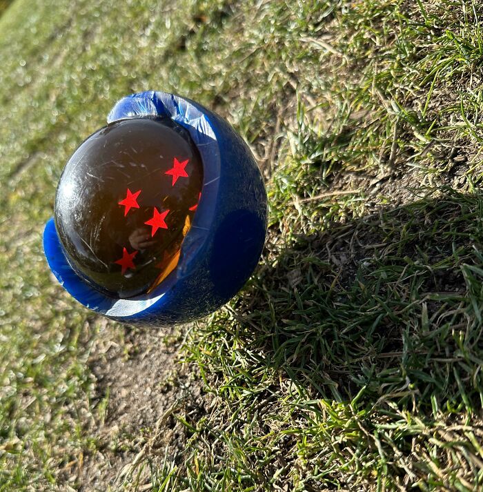 Someone Smashed A Tee Marker At This Golf Course Im Playing At And This Was Inside