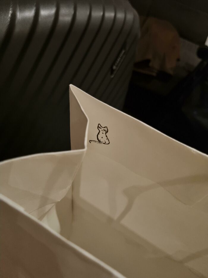 There's A Small Cat Hiding Inside This Paper Bag