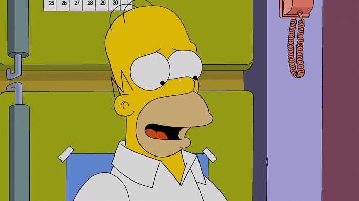 Homer Simpson – The Simpsons