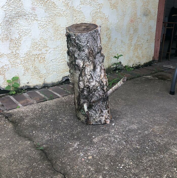 I Made This Stool A While Ago—thought I’d Share