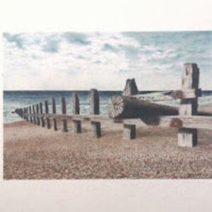 murraymarvell avatar