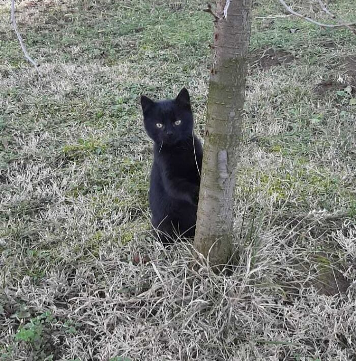 Starting To Suspect That I Actually Adopted A Black Bear Cub