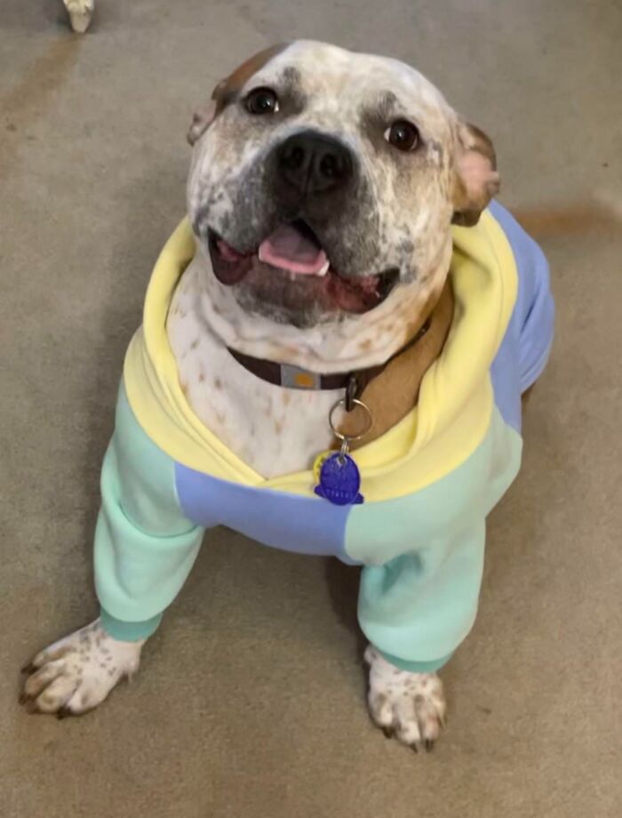 Heres My Adopted Baby, Rubi