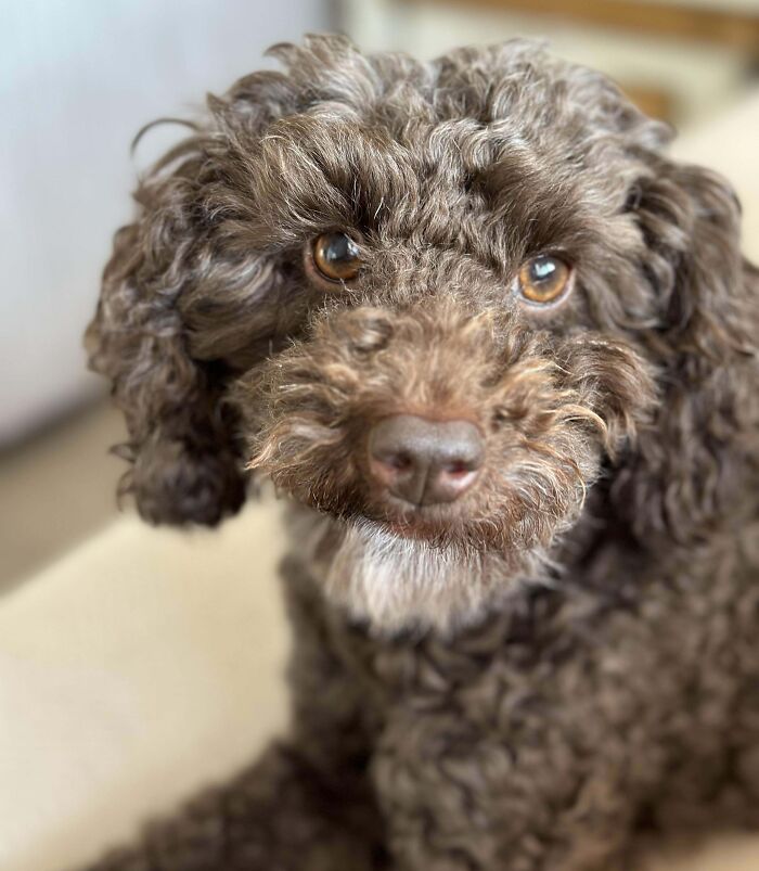 Say “Hello” To Joy