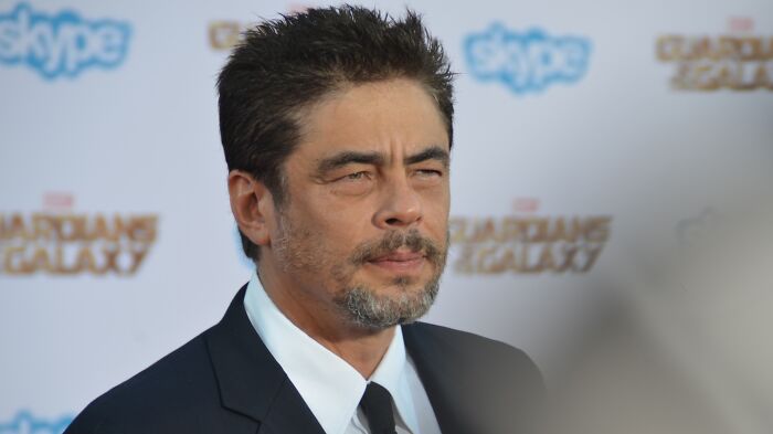 Benicio Del Toro in a black suit attending a red carpet event, featured in celebrities who never married yet found love.