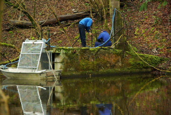 Users Of This Online Group Were Honest About 30 Things That They Learnt From Having To Work For Someone