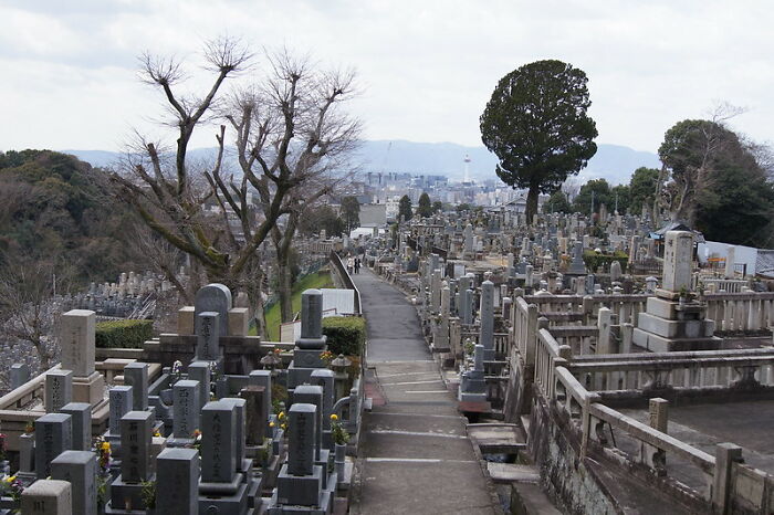 30 Of The Spookiest Stories From Hospital And Funeral Industry Workers, As Shared In This Online Community