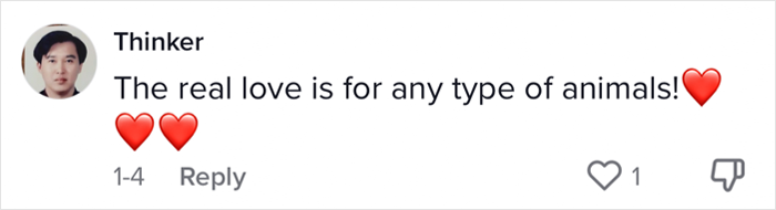 The Most Unlikely Friendship Formed Between This Cat And A Rat, Who Now Share An Inseparable Bond The Most Unlikely Friendship Formed Between This Cat And A Rat, Who Now Share An Inseparable Bond