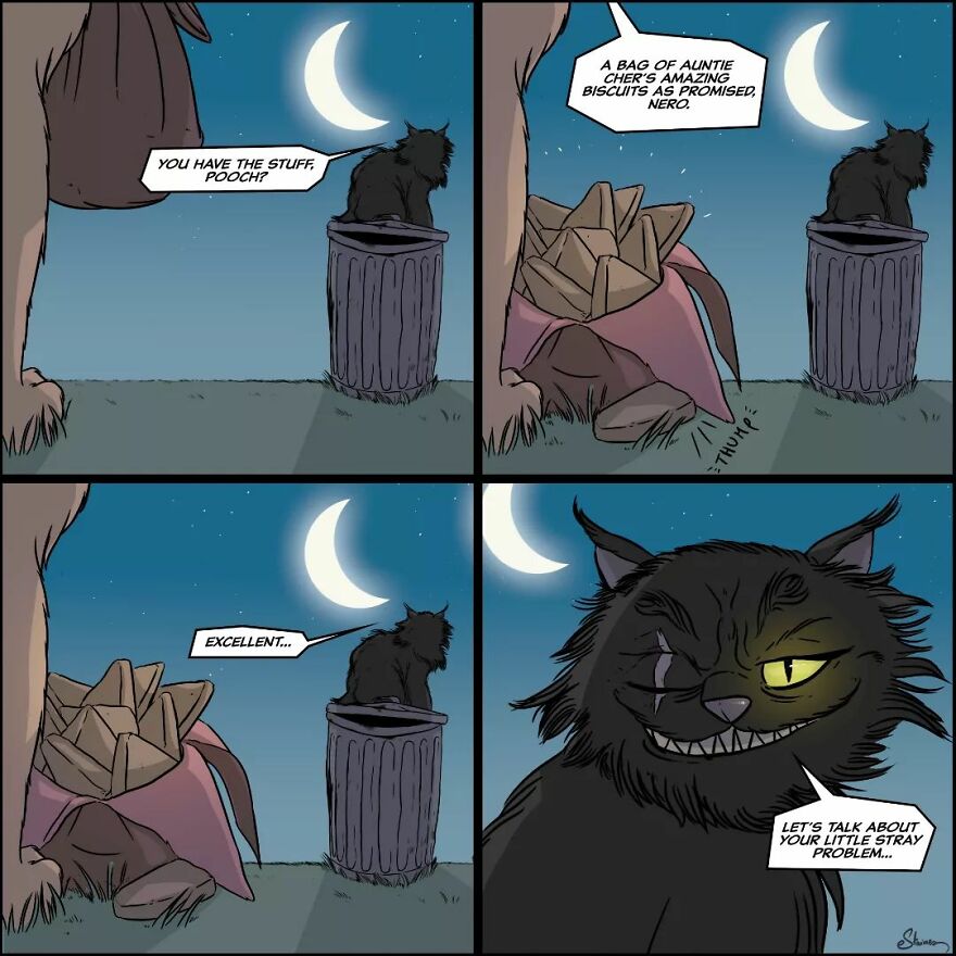 Introducing Nero The Cymric