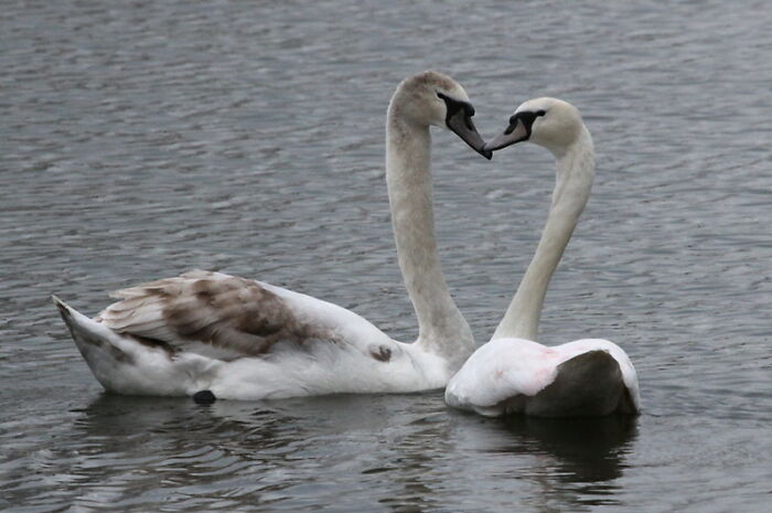 Somebody Asked Men Online “What Male Stereotypes Don’t Apply To You?”, 33 Delivered 