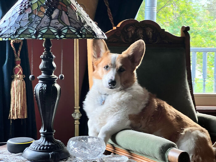 Queen Rosie On Her Throne