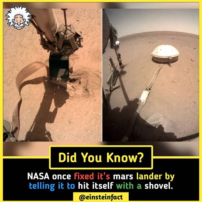 Interesting-Facts-Einsteinfact