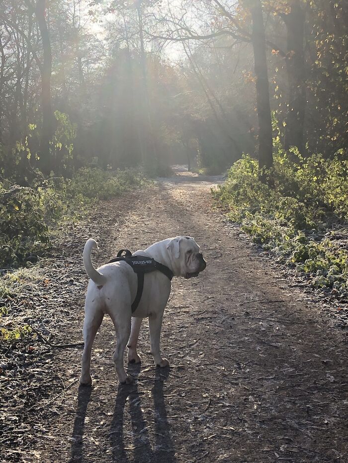 Max December Morning