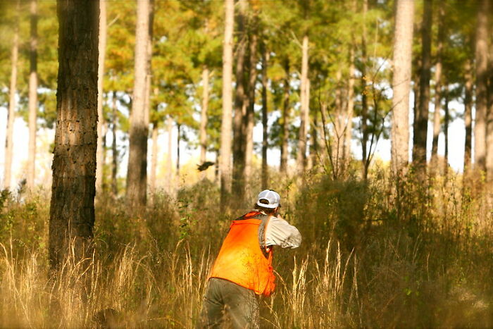 "That Was It For Me": People Share 40 Ridiculous Movie Moments That Ruined It For Them