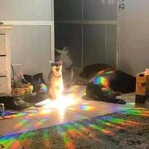 ceilidhgirl1025 avatar