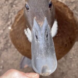 kaleidoscope-cove888 avatar