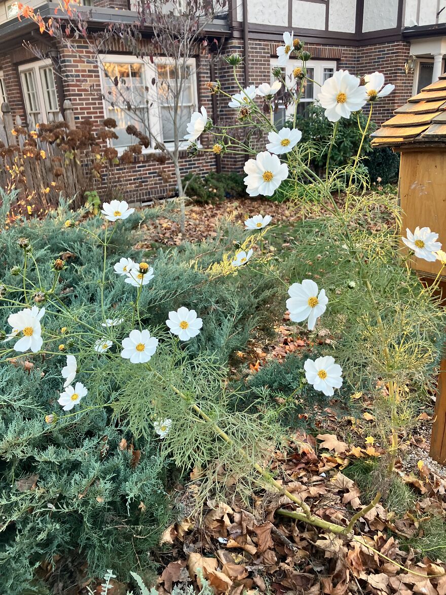 Decided To Take The Scenic Route On My Walk