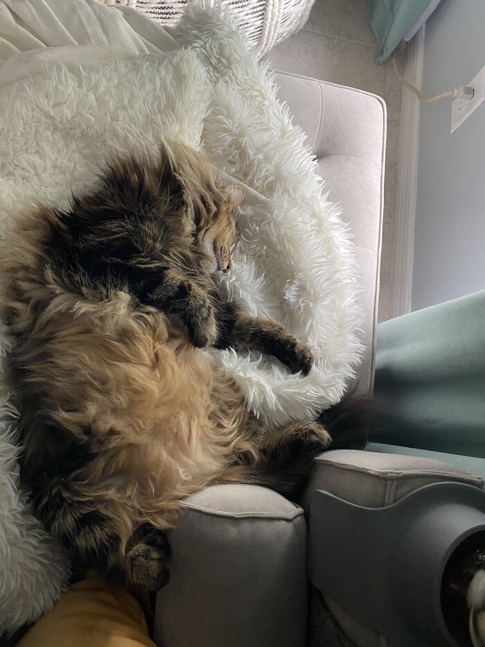 Lucifer Woo, The Devourer Of Souls And House Plants!