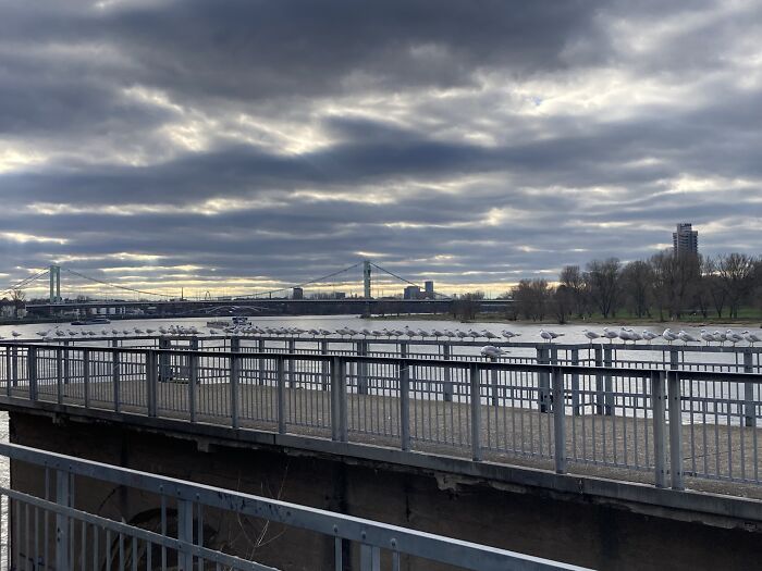We Hardly Ever Get Snow But Here's My City Looking Chilly In January