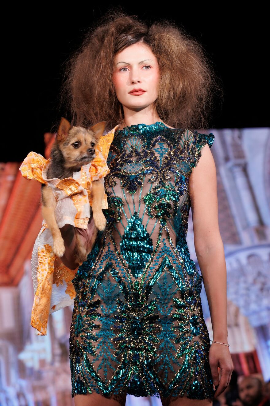 Stylish Pets Take Over New York Fashion Week
