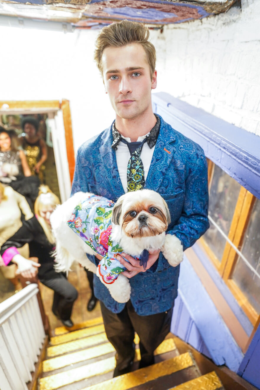 Stylish Pets Take Over New York Fashion Week