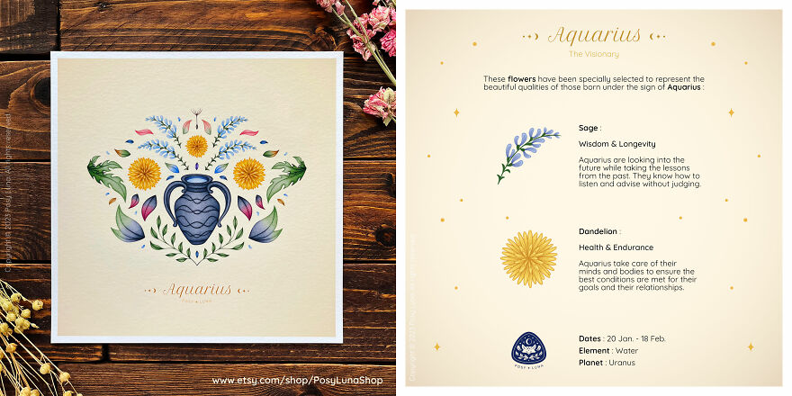 Aquarius - The Visionary