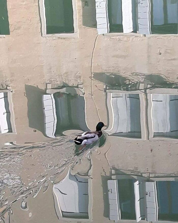 Funny-Pic-Trashandculture