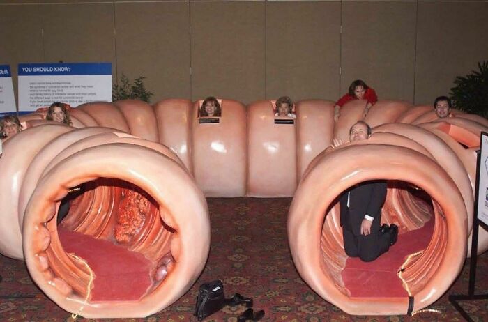 Funny-Pic-Trashandculture