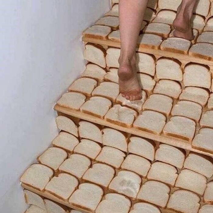 Funny-Pic-Trashandculture