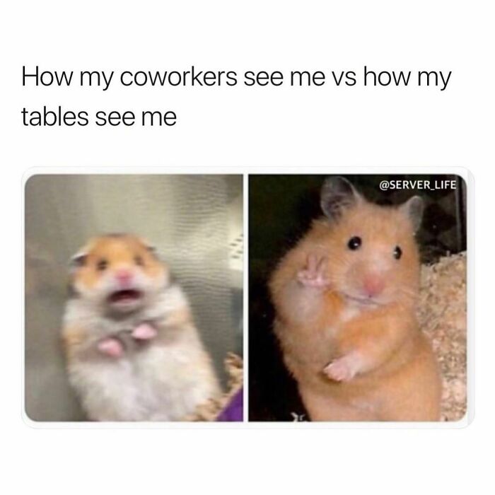 Funny-Server-Life-Memes