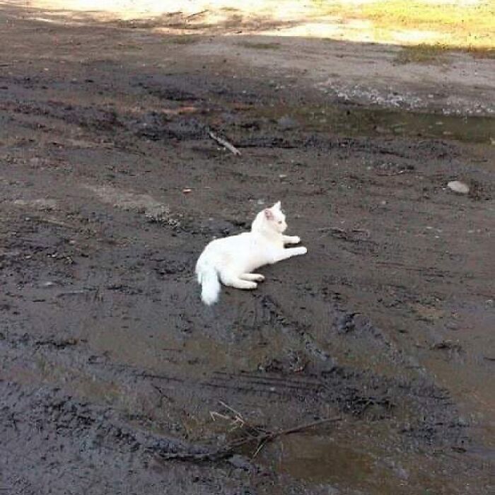 Funny-Pic-Trashandculture