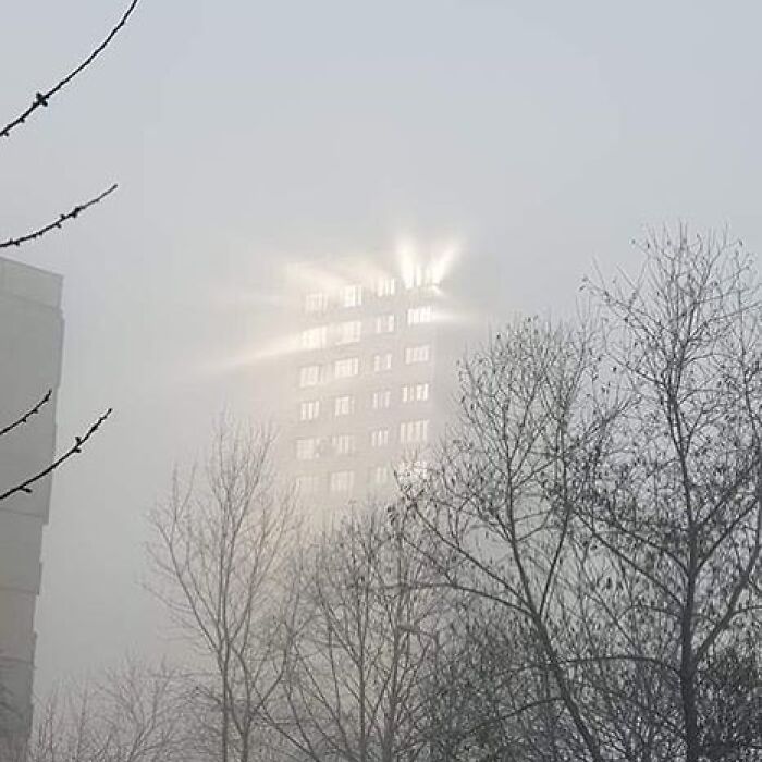 Funny-Pic-Trashandculture