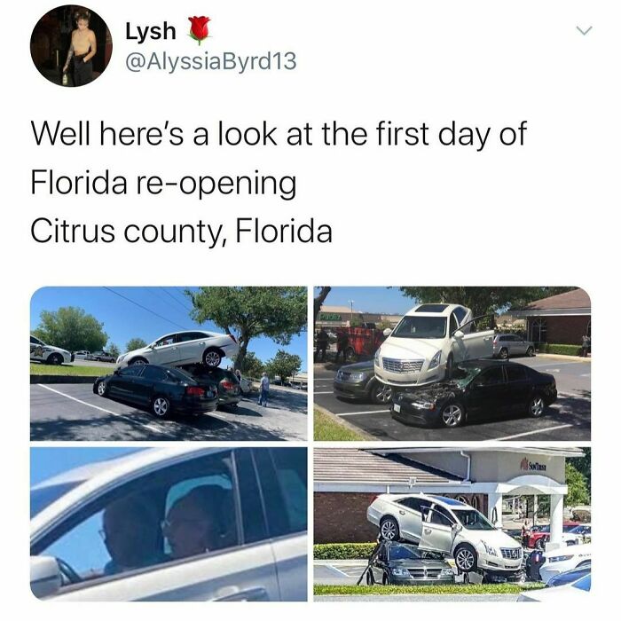 Funny-Florida-Jokes-Memes-Floridaman