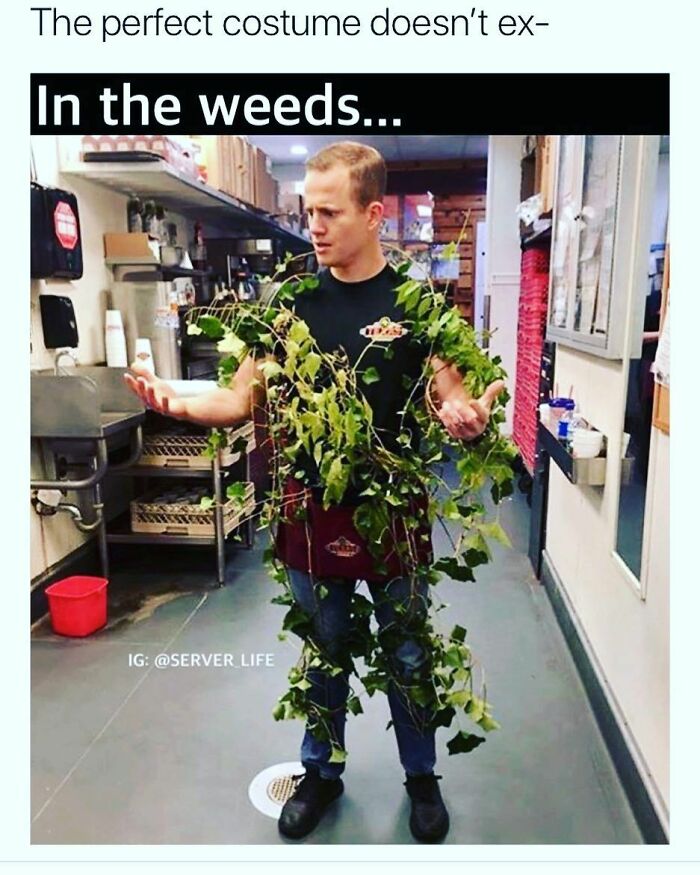 Funny-Server-Life-Memes