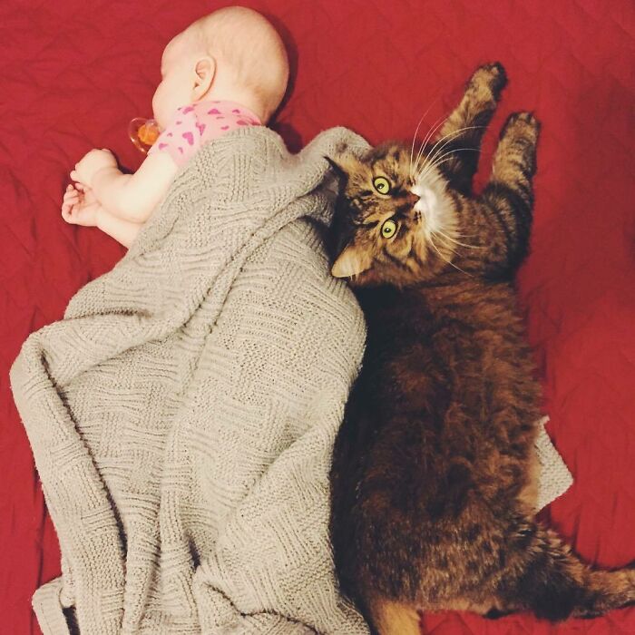 When You Have A Babysitter At Home