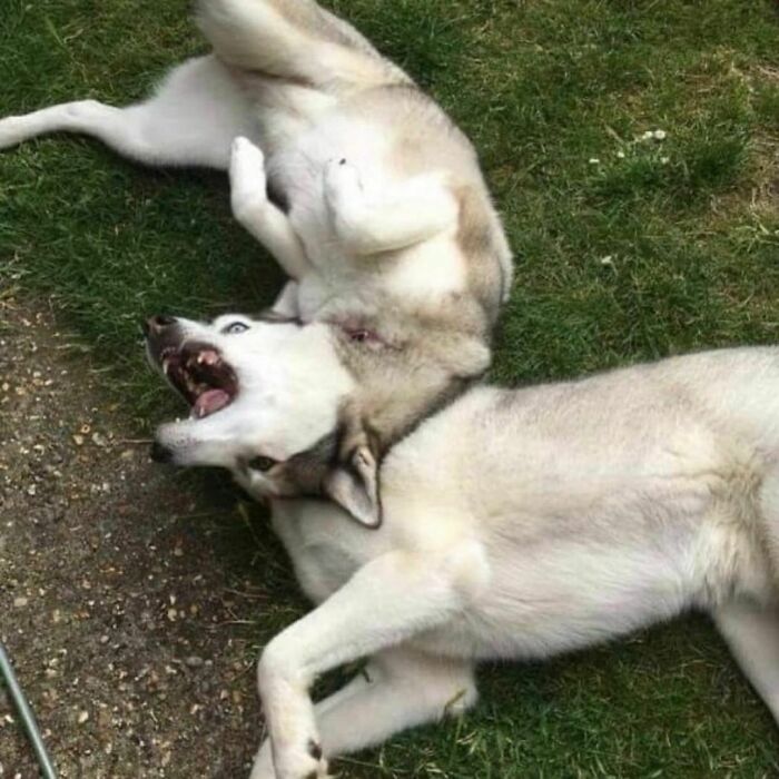 This Instagram Account Shares Pics With Little To No Context, And Here Are 40 Of The Funniest Ones