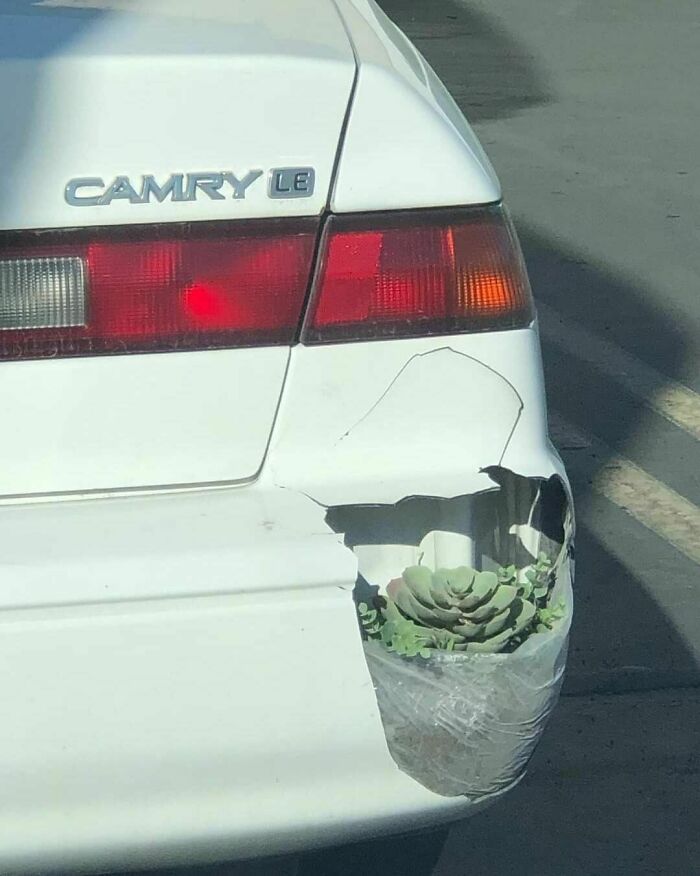 Funny-Pic-Trashandculture