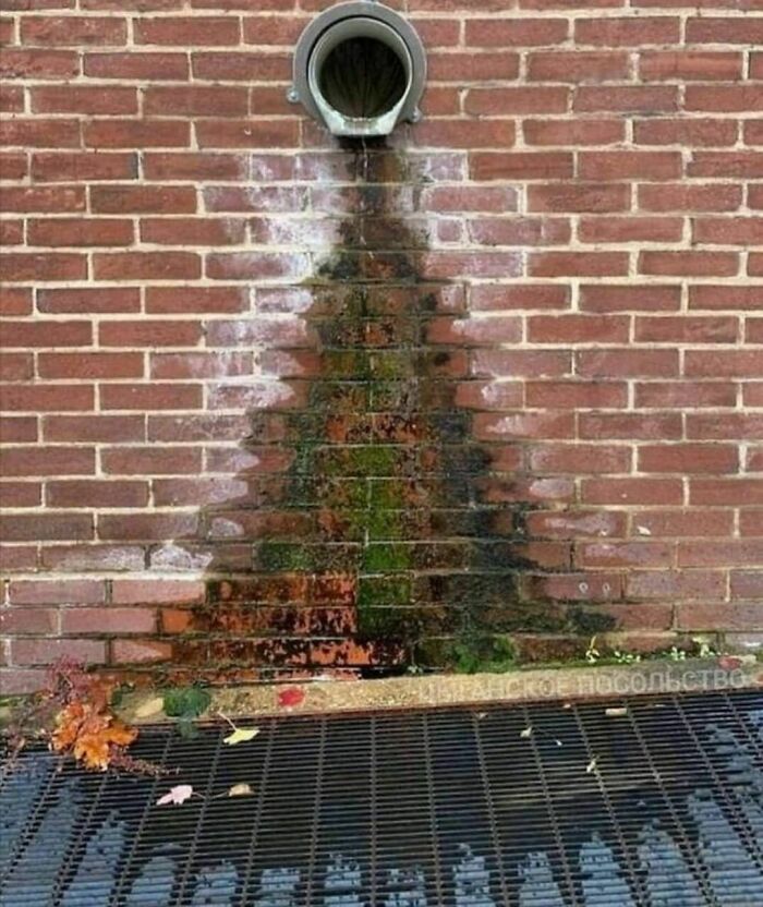 Funny-Pic-Trashandculture