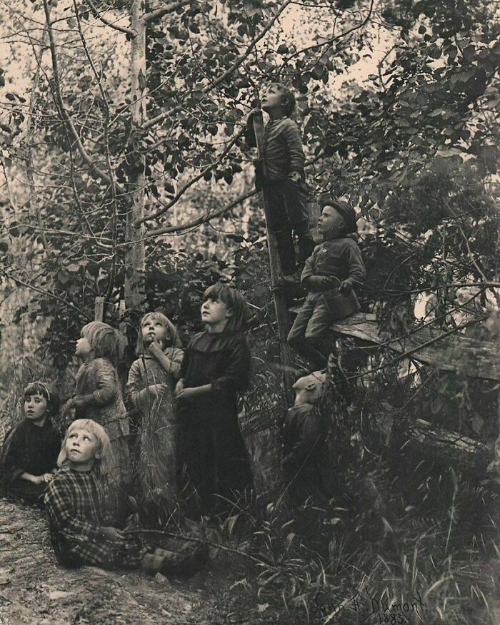 Listening To The Birds, 1885, By John Dumont