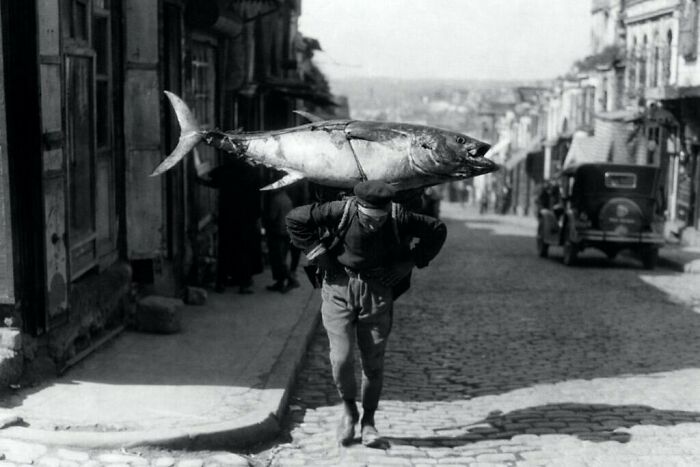C. 1930s. A Turkish Fisherman Returns With His Booty