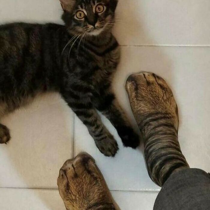 Funny-Pic-Trashandculture