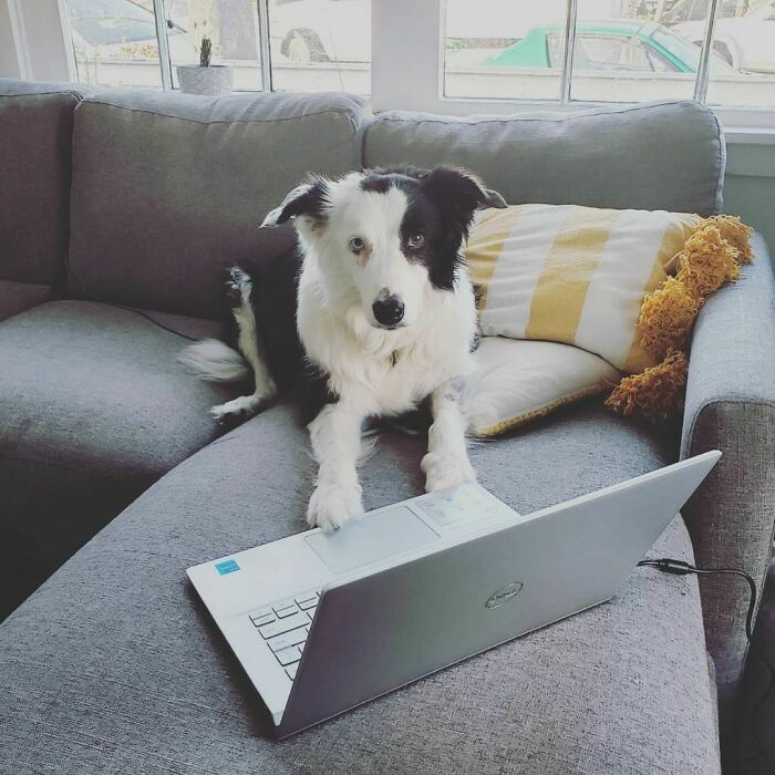 Just Surfing The Web For A Side Hustle