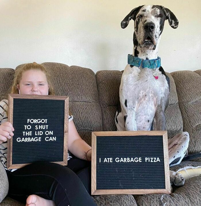 Everyone Needs A Partner In Crime