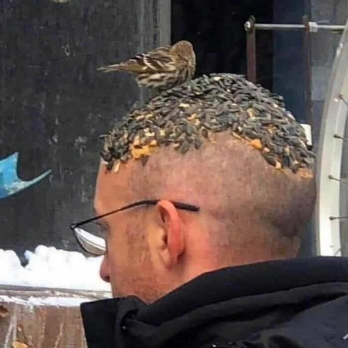 This Instagram Account Shares Pics With Little To No Context, And Here Are 40 Of The Funniest Ones