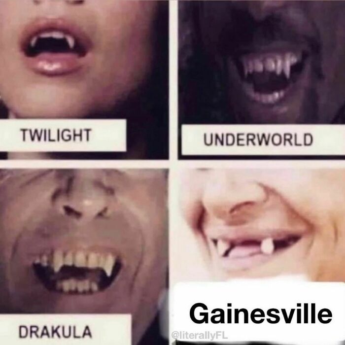 Florida meme comparing vampire teeth types to a smiling person from Gainesville.