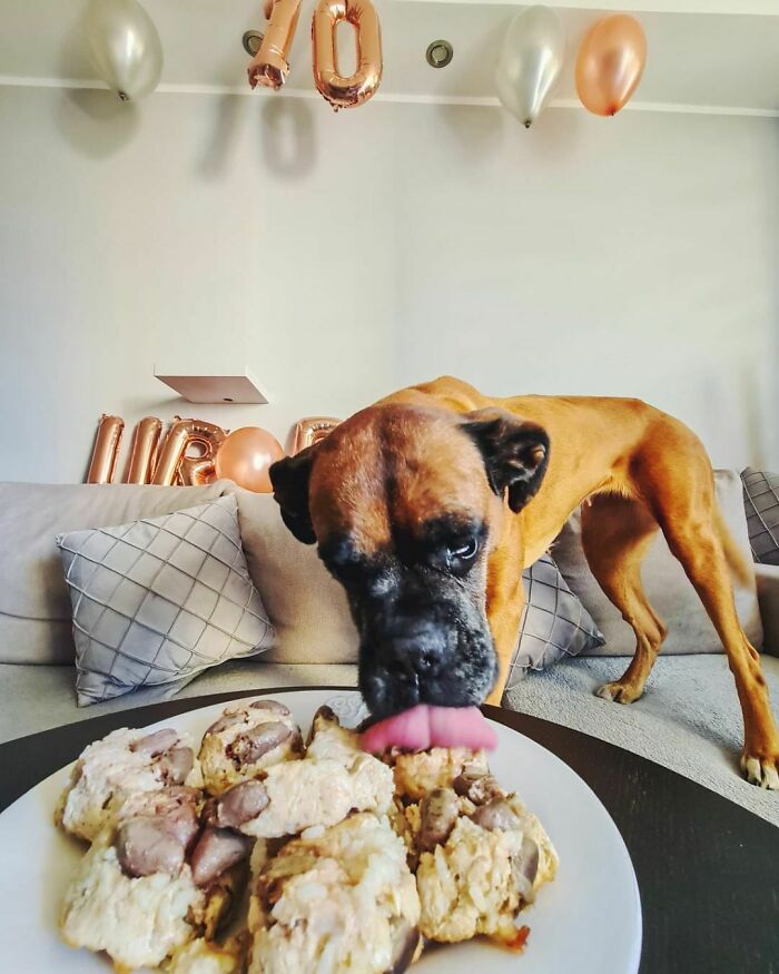 On Monday I Turned 10, I Had A Pawty