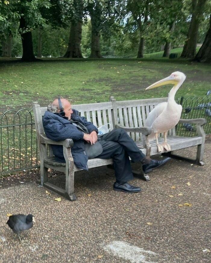 Funny-Pic-Trashandculture